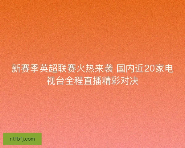 新赛季英超联赛火热来袭 国内近20家电视台全程直播精彩对决