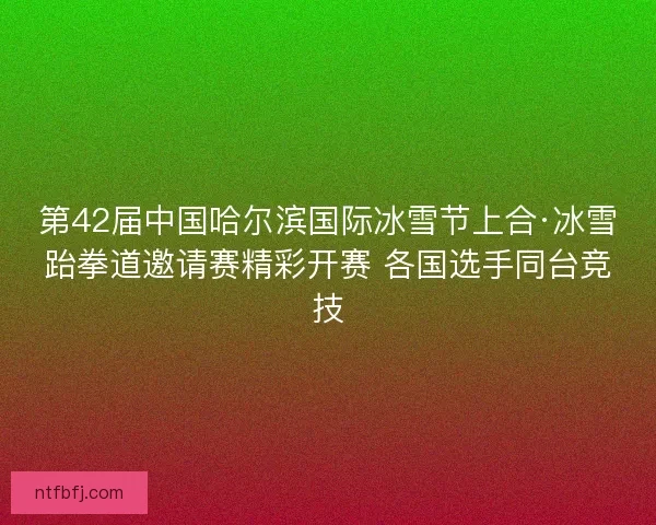 第42届中国哈尔滨国际冰雪节上合·冰雪跆拳道邀请赛精彩开赛 各国选手同台竞技